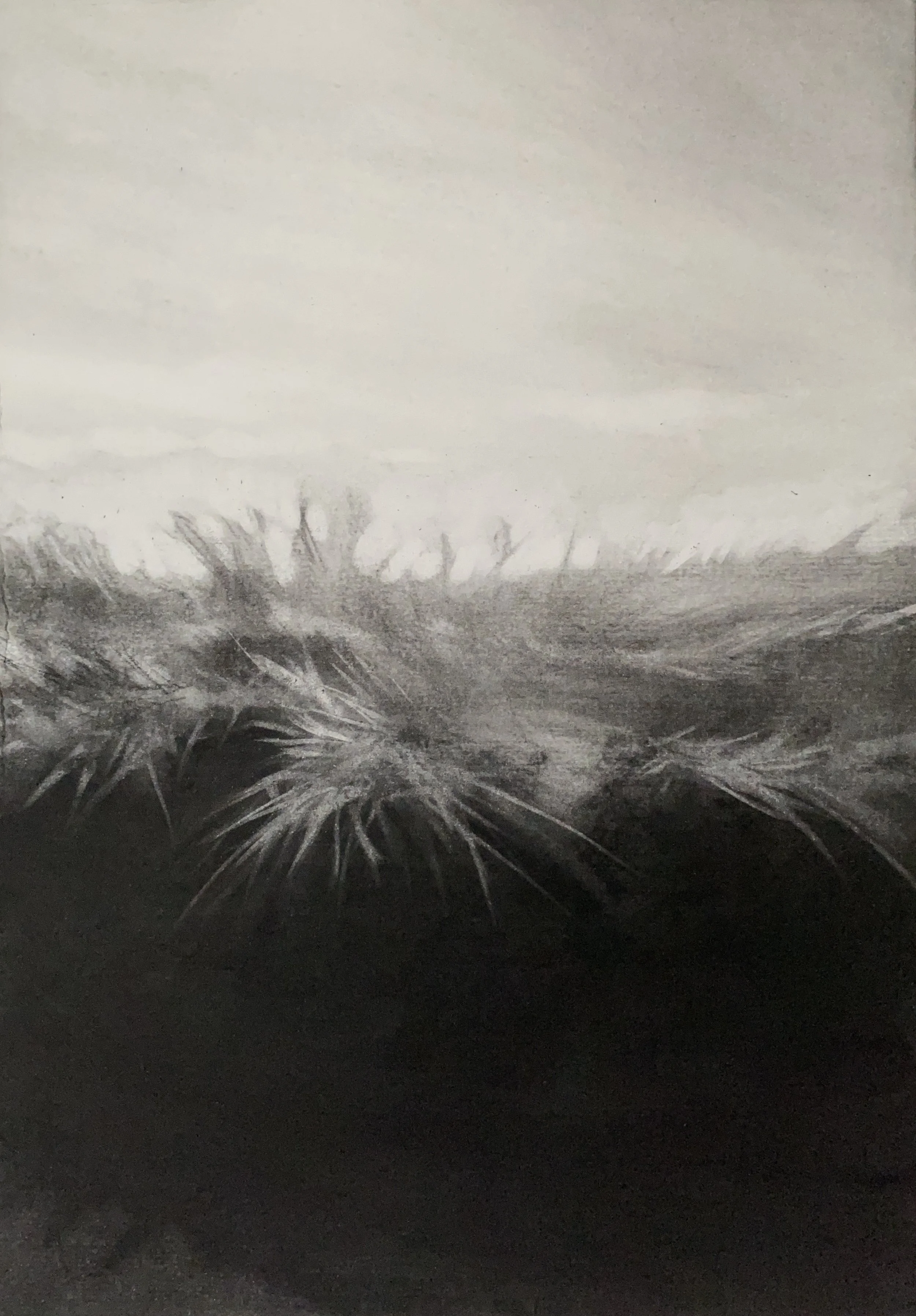 Promise of open sea 169, 2023