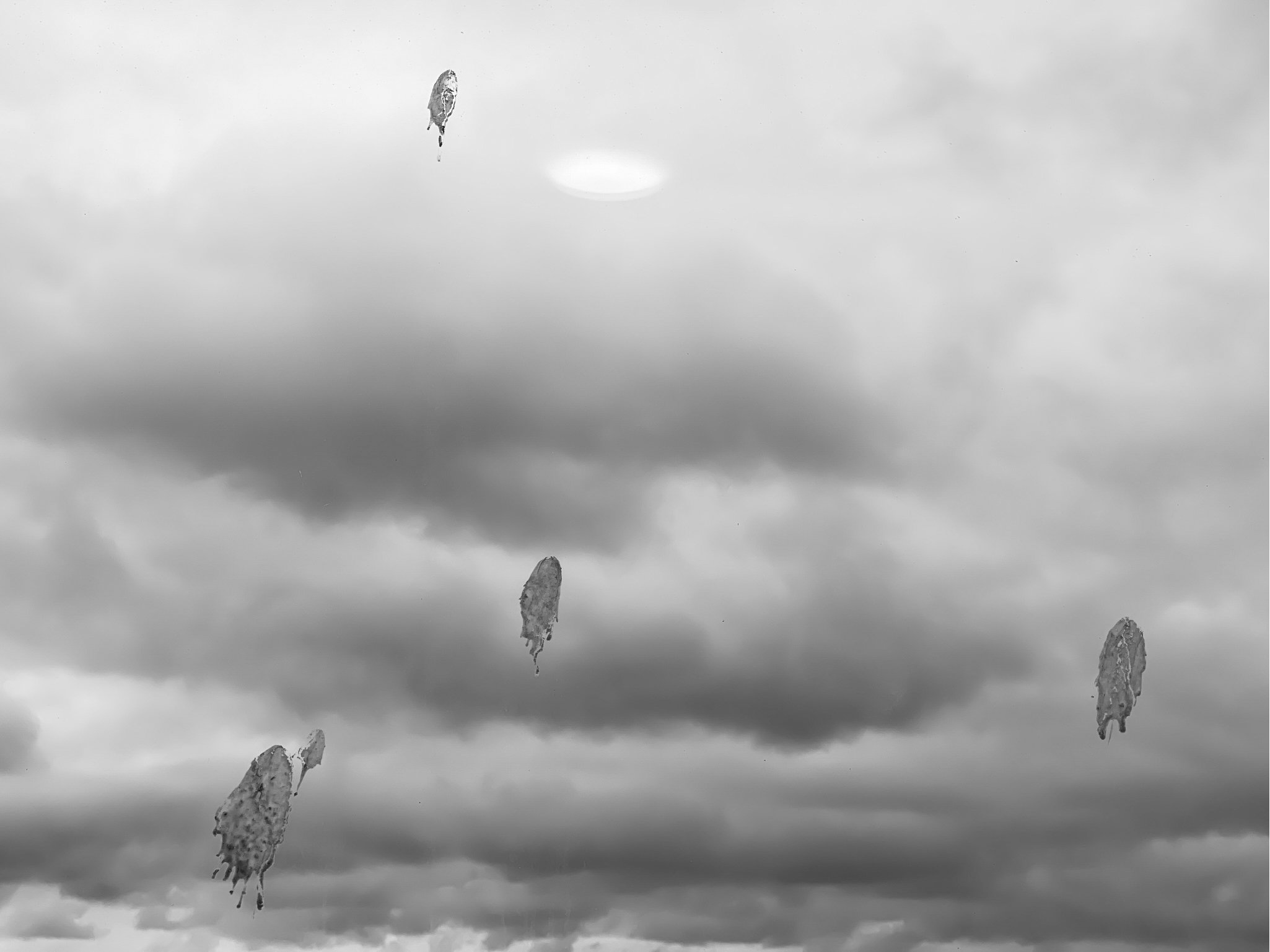 Reflections series 13 Holy