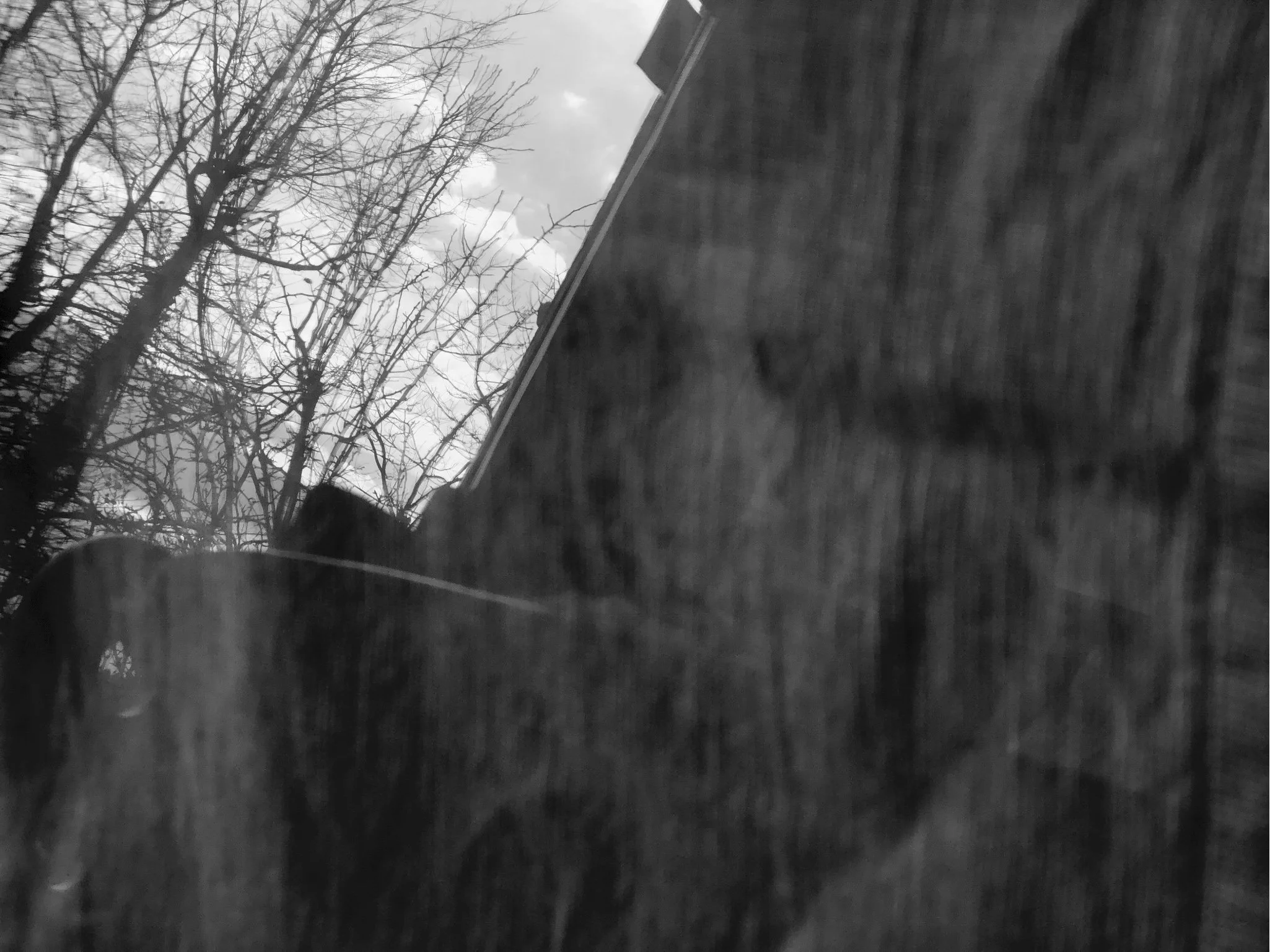 Reflection of a wall and a group of bare trees in a window