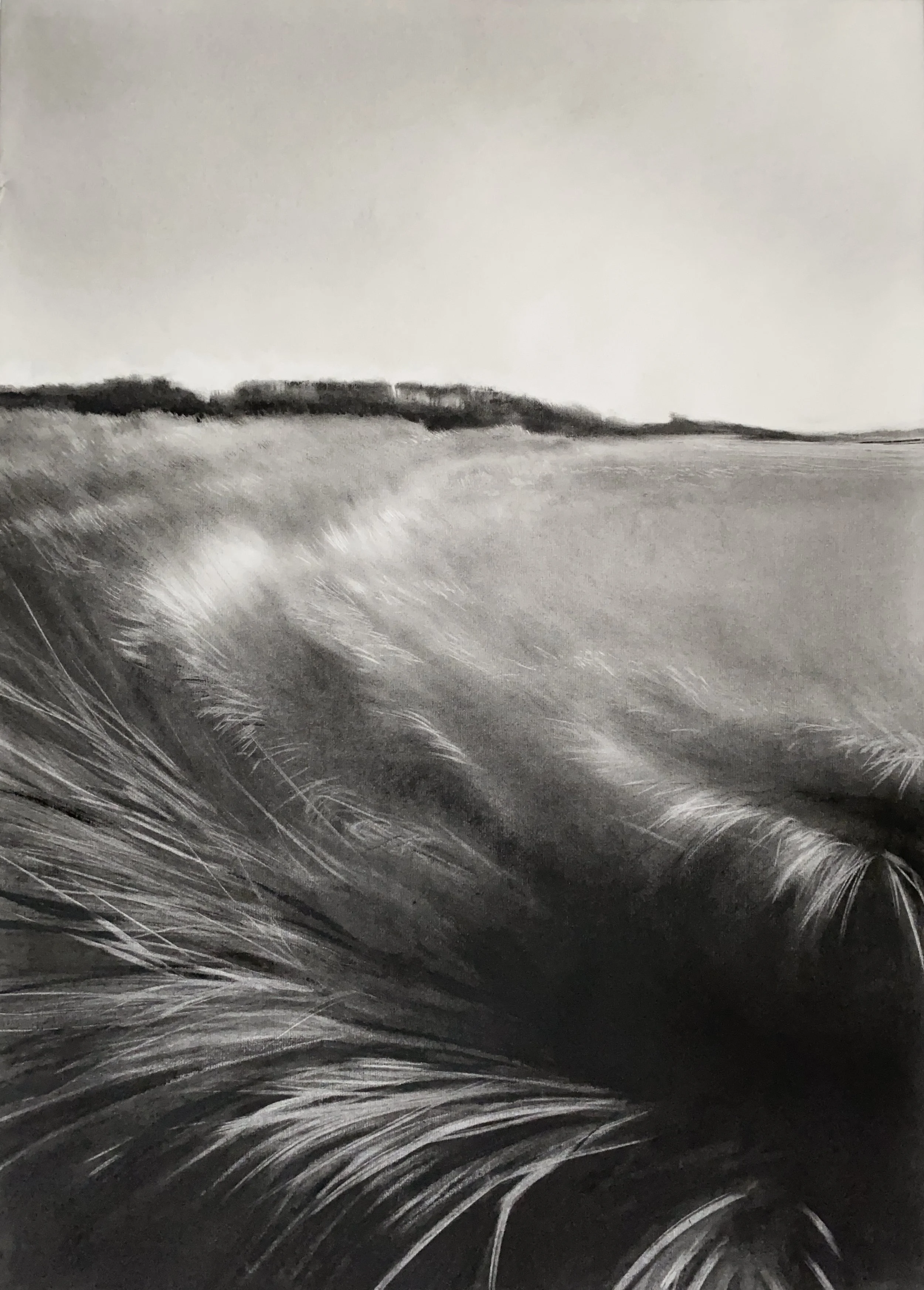 Promise of open sea 164, 2023