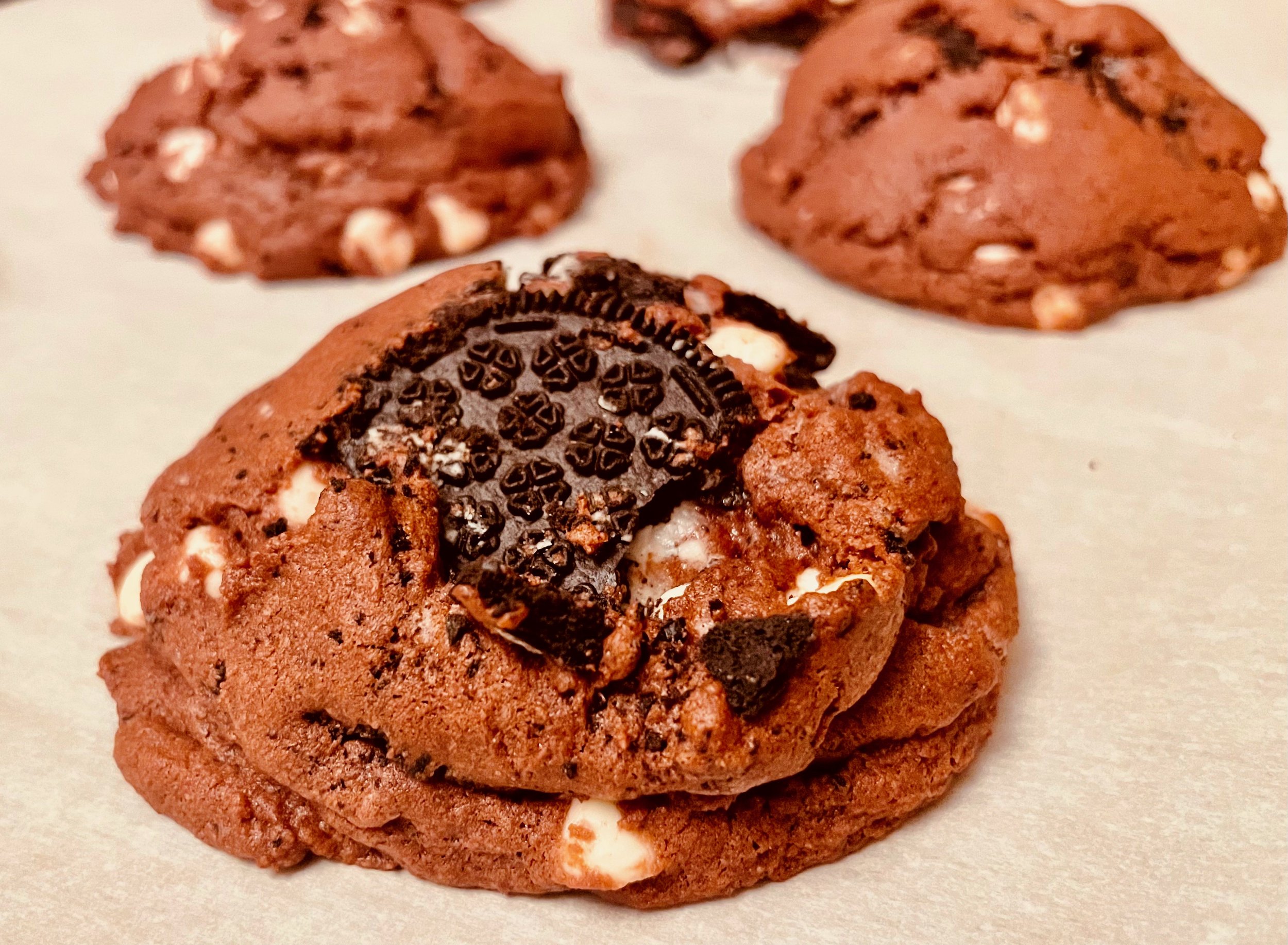 RV cookie 1.jpeg