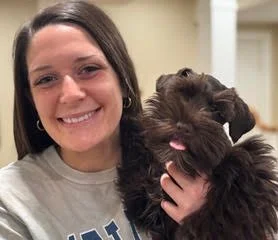 SVCC Schnauzer solid chocolate puppy