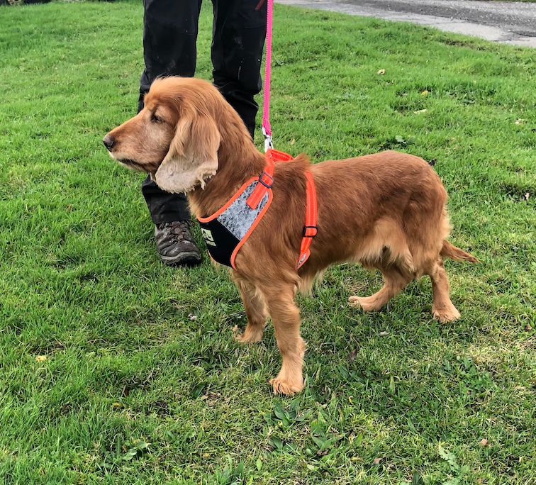 Screenshot 2025-11-15 at 17.49.20.png