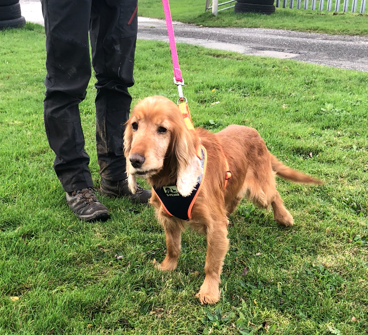 Screenshot 2025-11-15 at 17.49.24.png