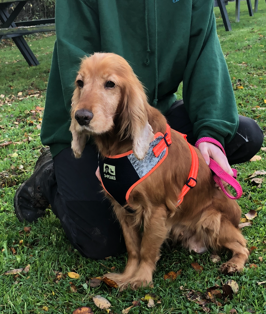 Screenshot 2025-11-15 at 17.49.29.png