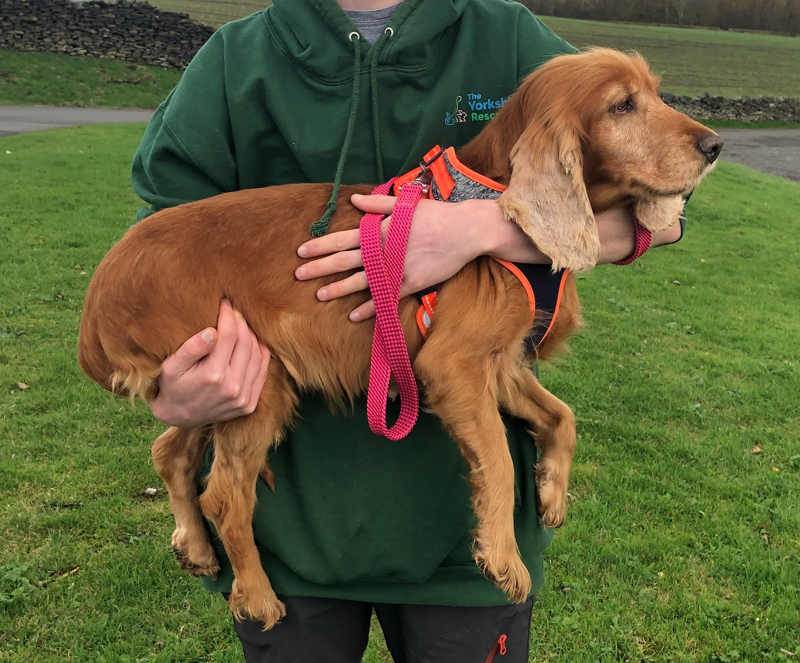 Screenshot 2025-11-15 at 19.42.08.png