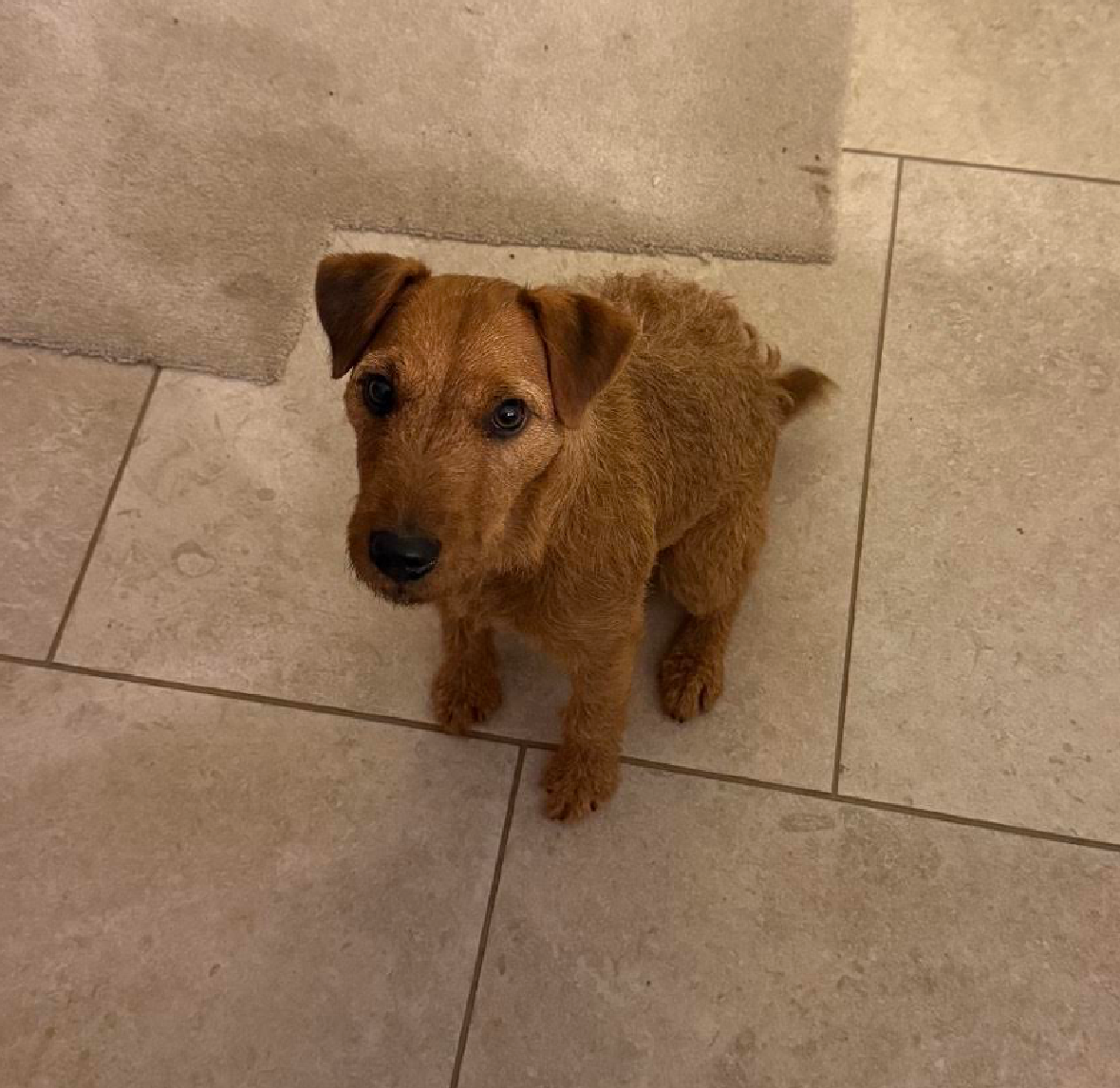 Screenshot 2025-11-17 at 15.58.28.png