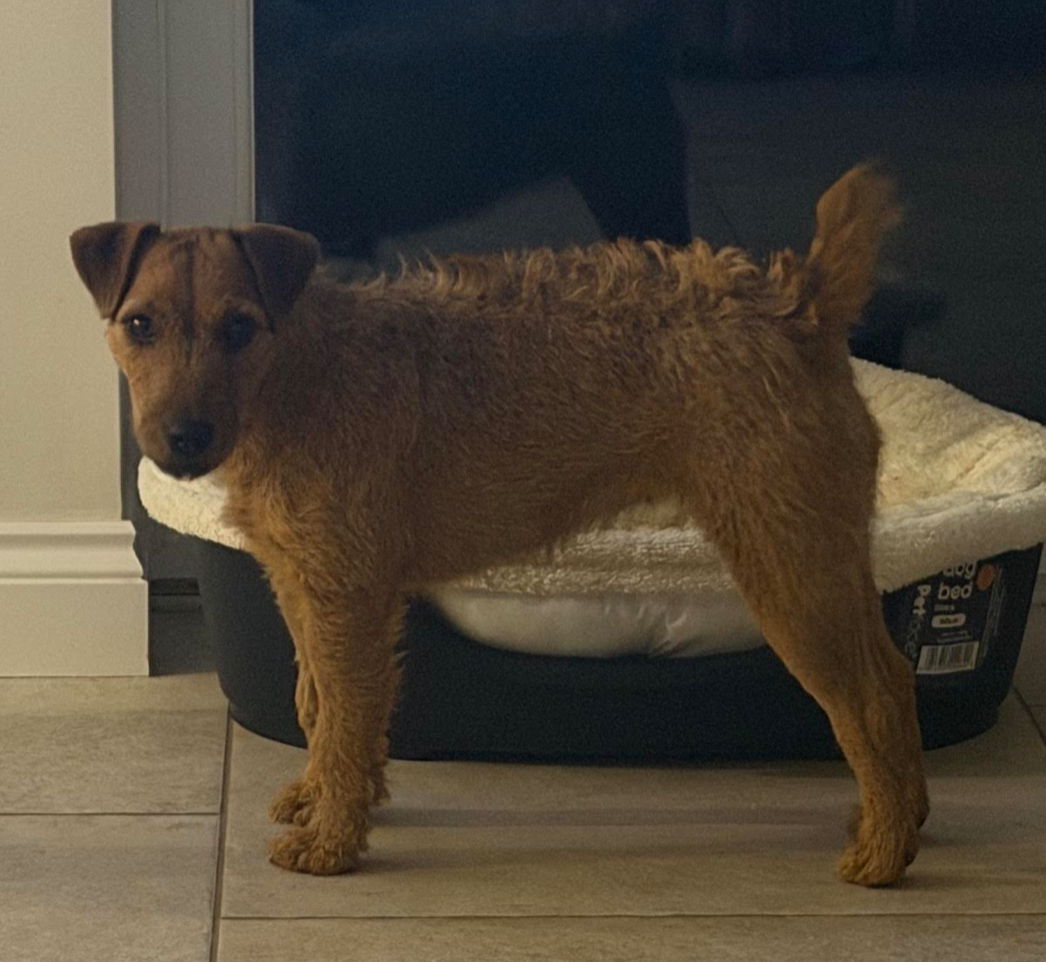 Screenshot 2025-11-17 at 15.58.39.png