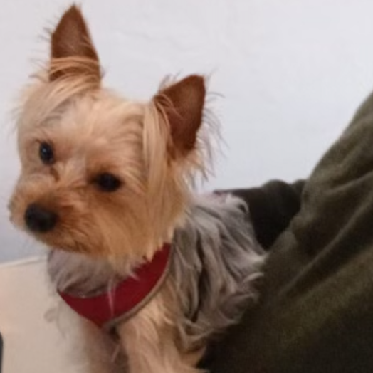 Screenshot 2025-11-24 at 21.30.36.png