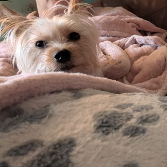 Screenshot 2025-11-24 at 21.30.43.png