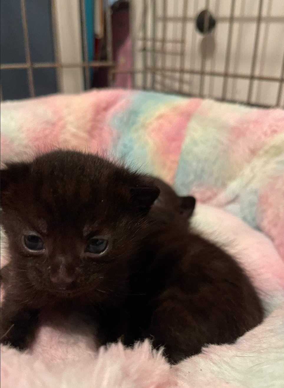 Screenshot 2025-12-04 at 18.54.38.png