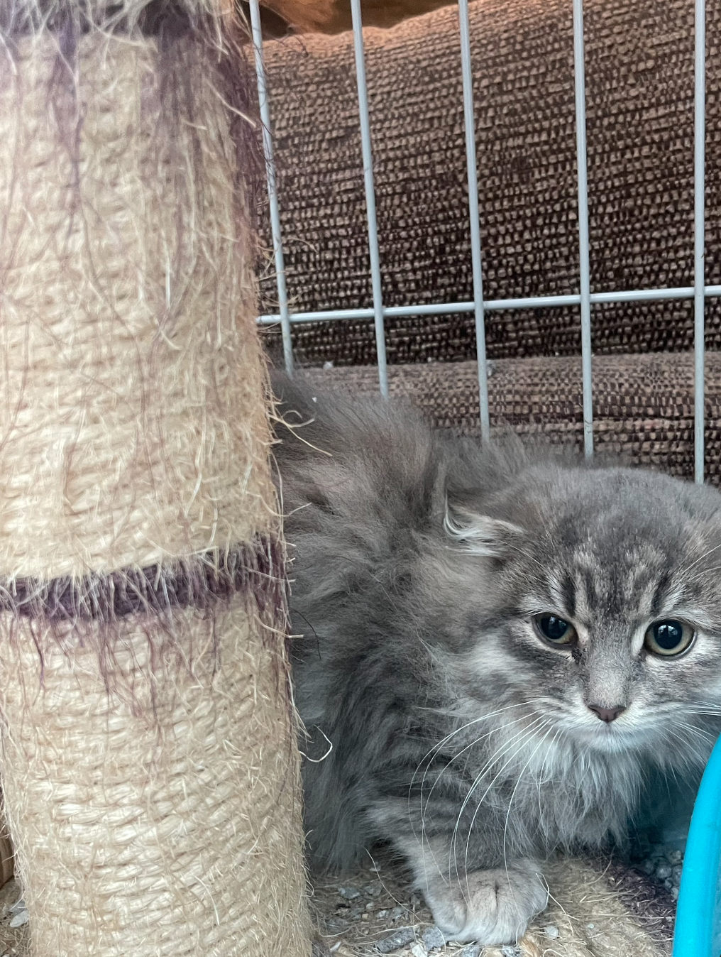 Screenshot 2025-12-06 at 12.09.51.png