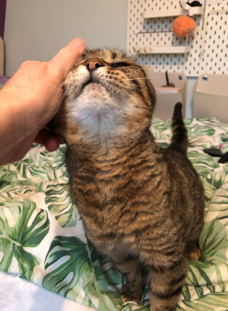 Screenshot 2025-12-14 at 19.58.16.png