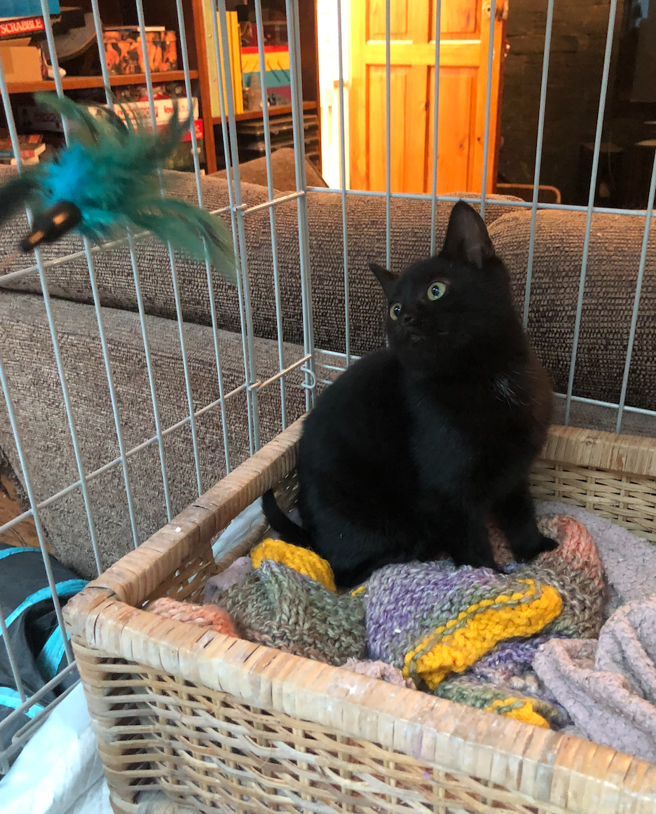 Screenshot 2025-12-14 at 19.57.49.png