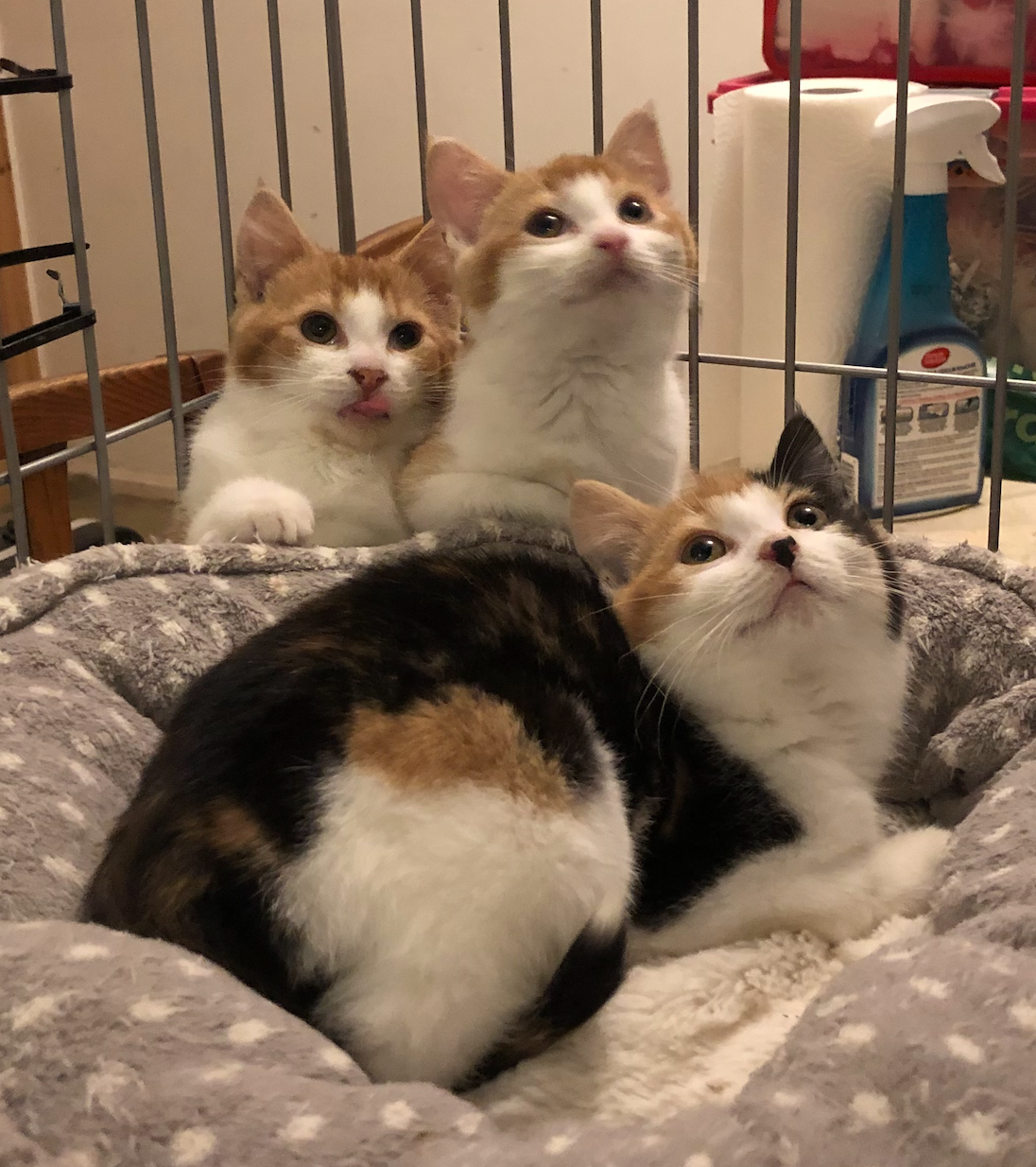 Screenshot 2025-12-14 at 19.57.42.png