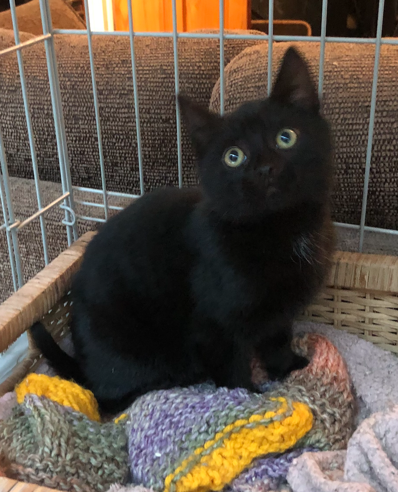 Screenshot 2025-12-14 at 19.57.54.png