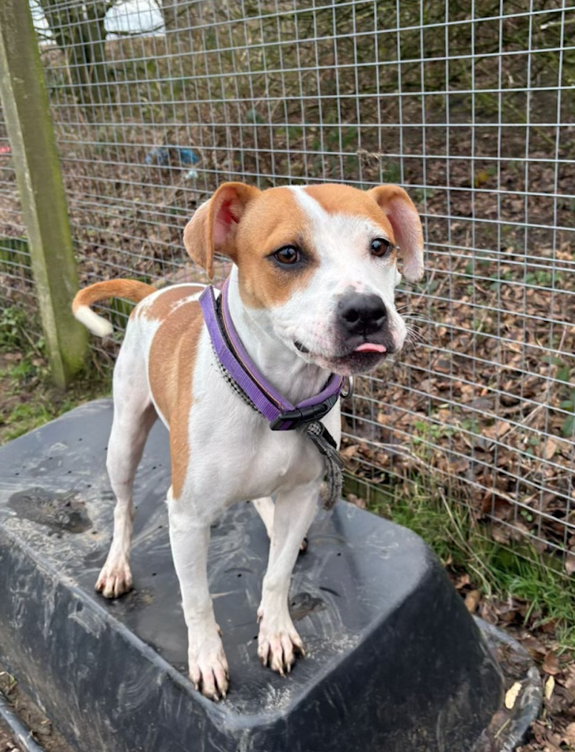 Screenshot 2026-01-01 at 17.30.35.png