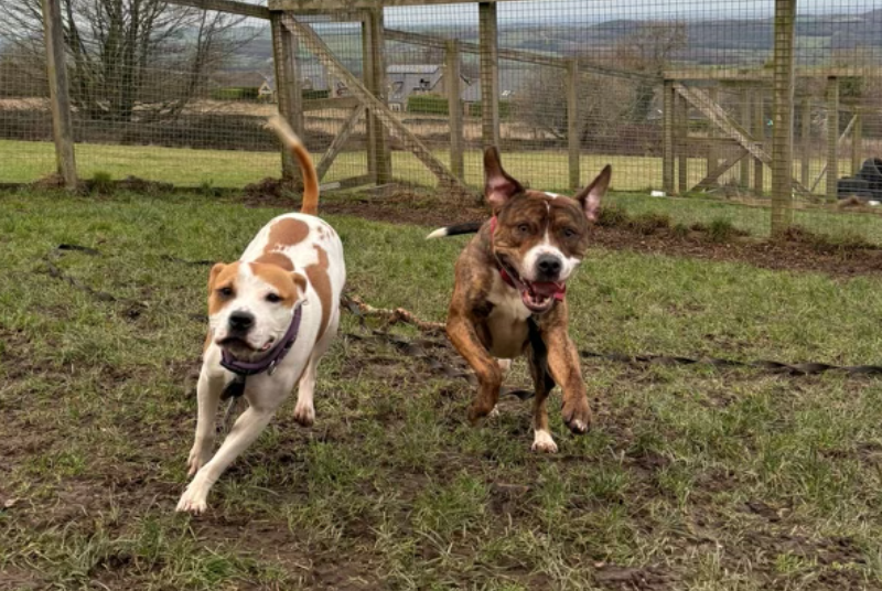 Screenshot 2026-01-01 at 17.30.30.png