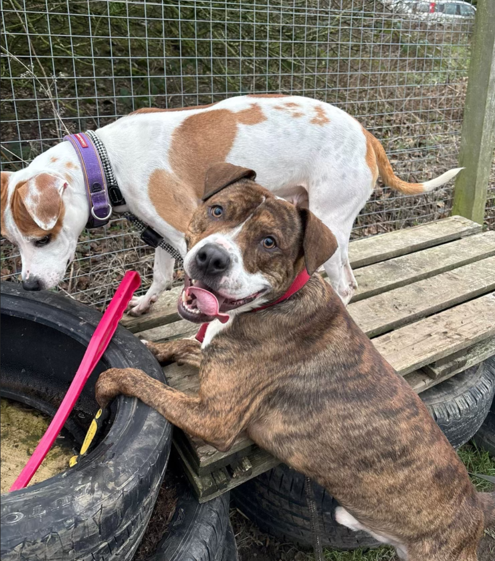 Screenshot 2026-01-01 at 17.30.47.png