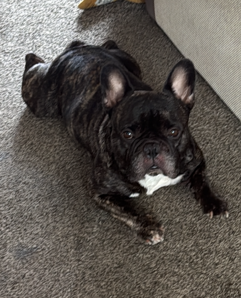 Screenshot 2026-01-03 at 21.25.35.png