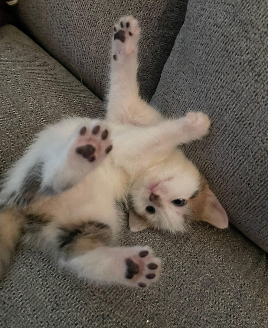 Screenshot 2026-01-14 at 21.34.50.png