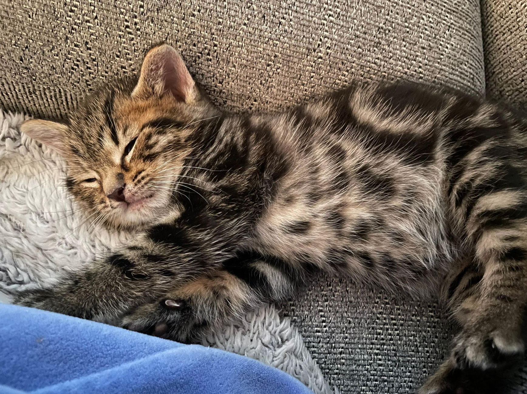 Screenshot 2026-01-14 at 21.34.58.png