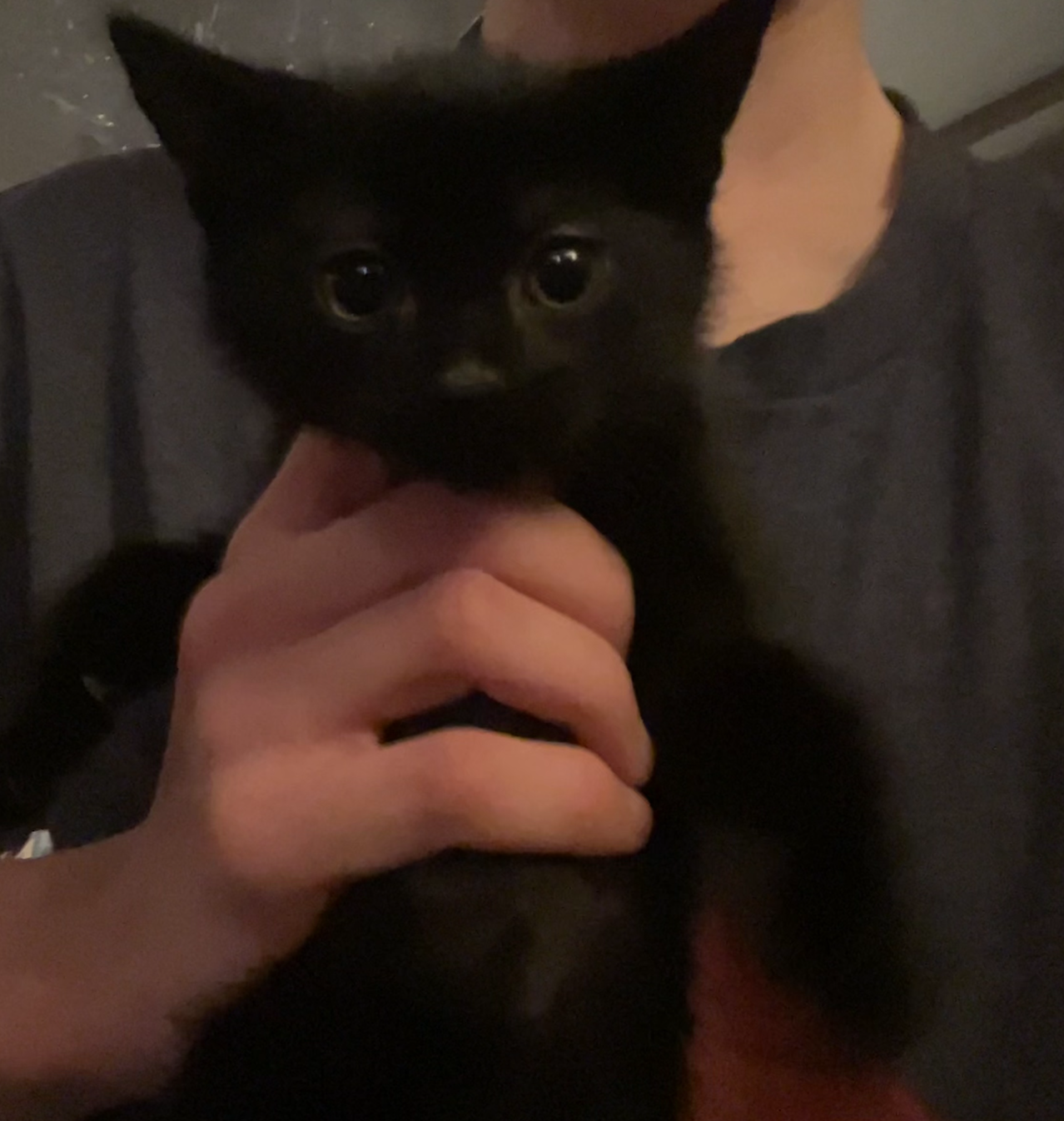 Screenshot 2026-01-14 at 21.36.04.png