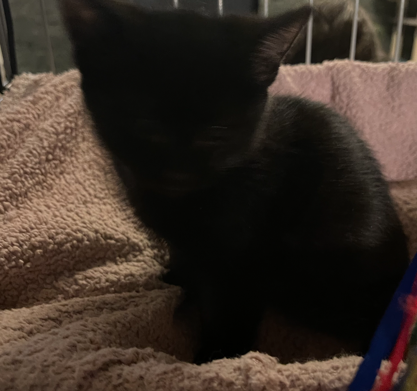 Screenshot 2026-01-14 at 21.38.17.png