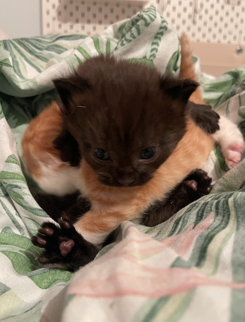 Screenshot 2026-01-14 at 21.27.17.png