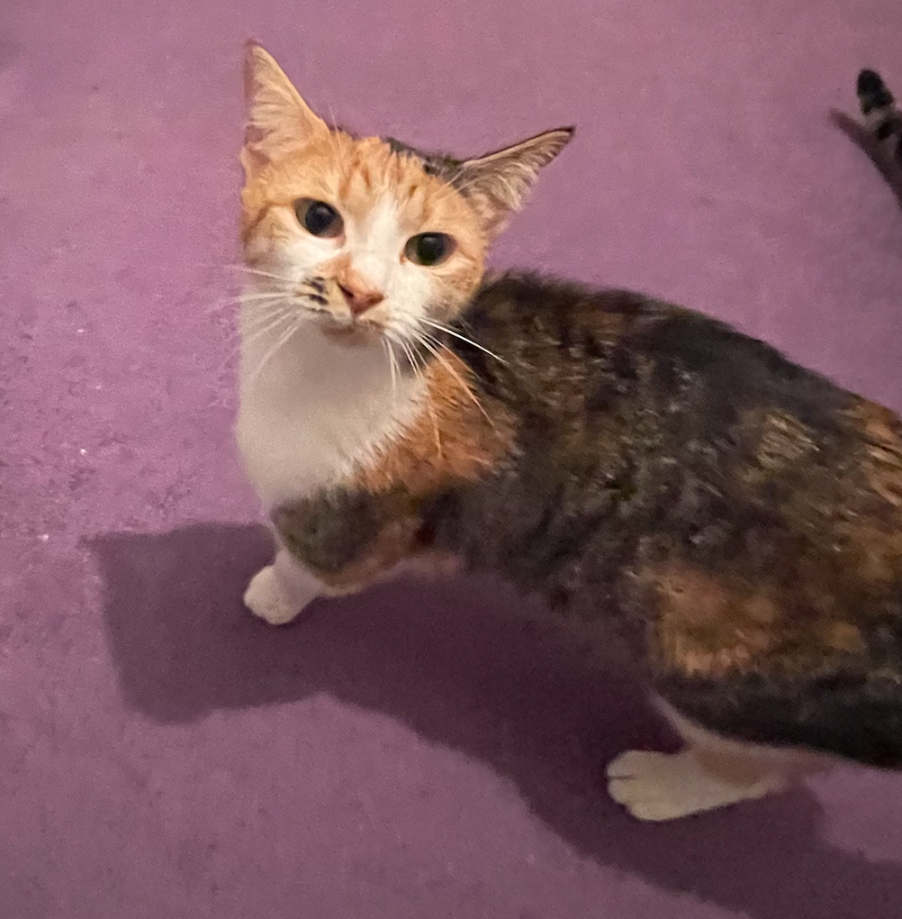 Screenshot 2026-01-14 at 21.27.35.png