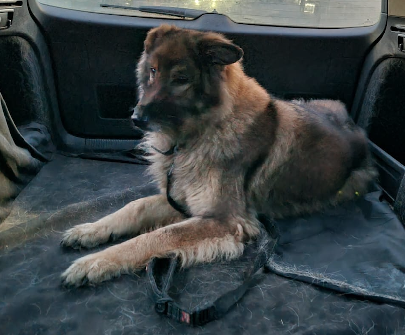 Screenshot 2026-01-14 at 22.19.59.png