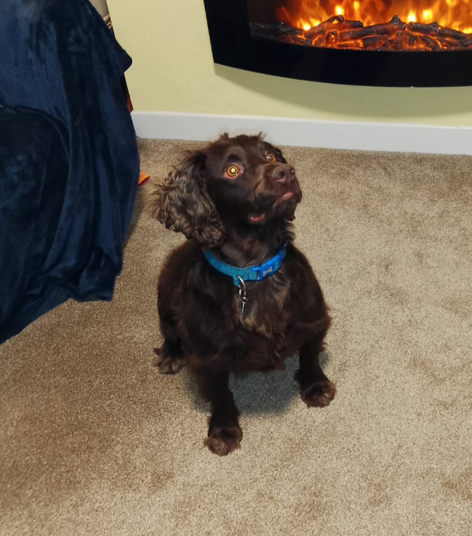 Screenshot 2026-01-14 at 22.19.53.png