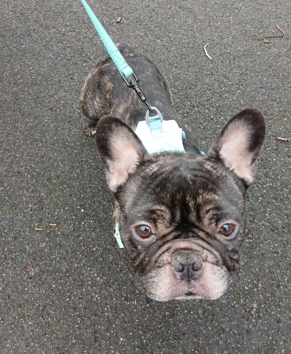 Screenshot 2026-01-14 at 22.20.29.png