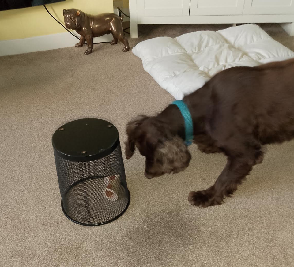 Screenshot 2026-01-18 at 21.27.44.png