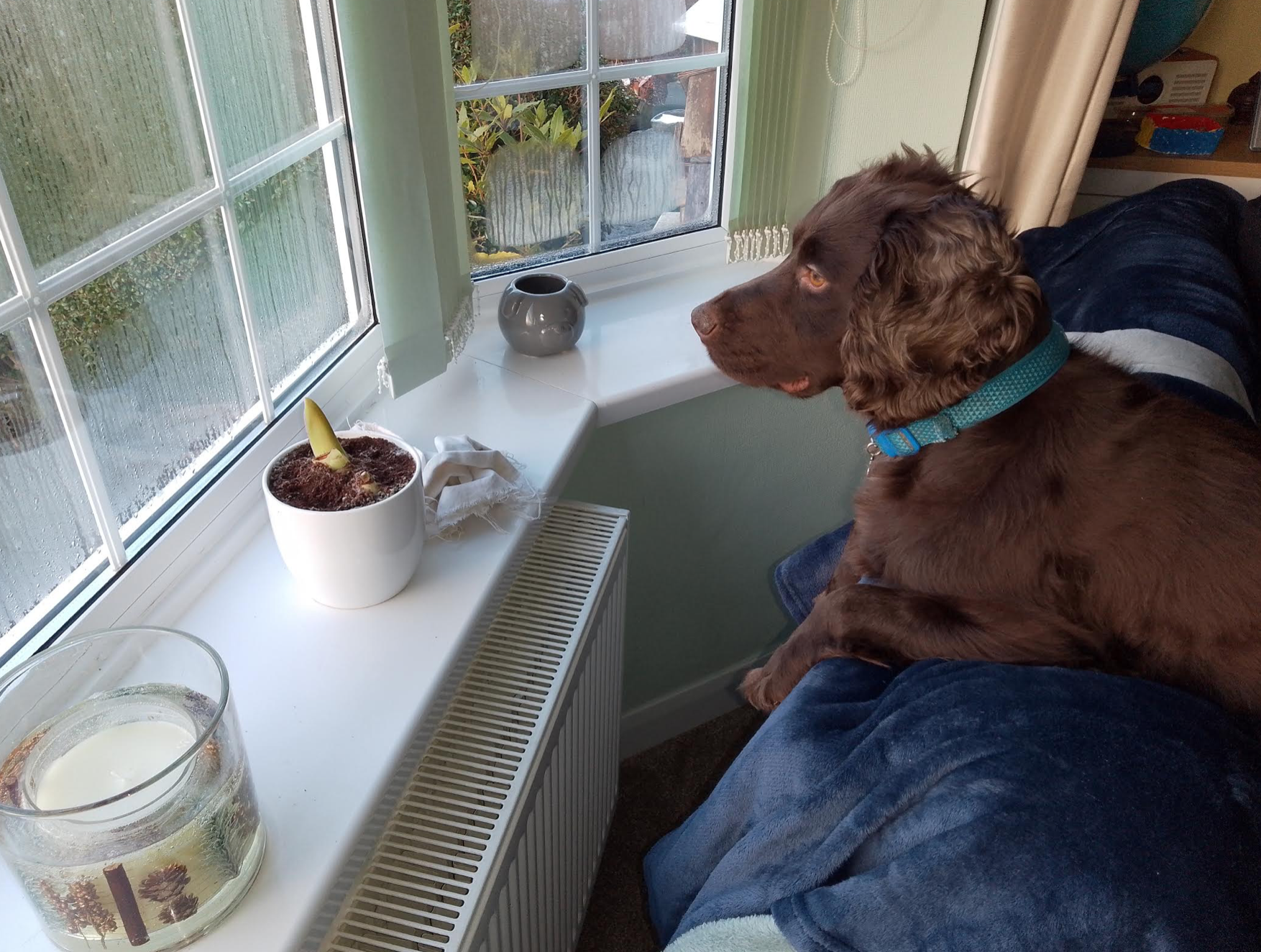 Screenshot 2026-01-18 at 21.27.19.png