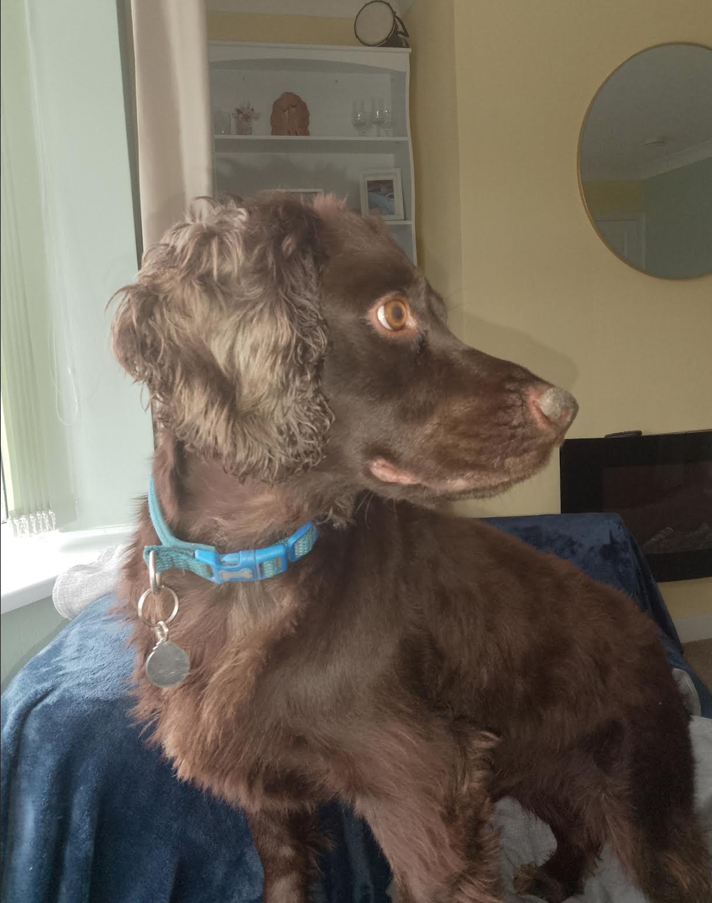 Screenshot 2026-01-18 at 21.27.28.png