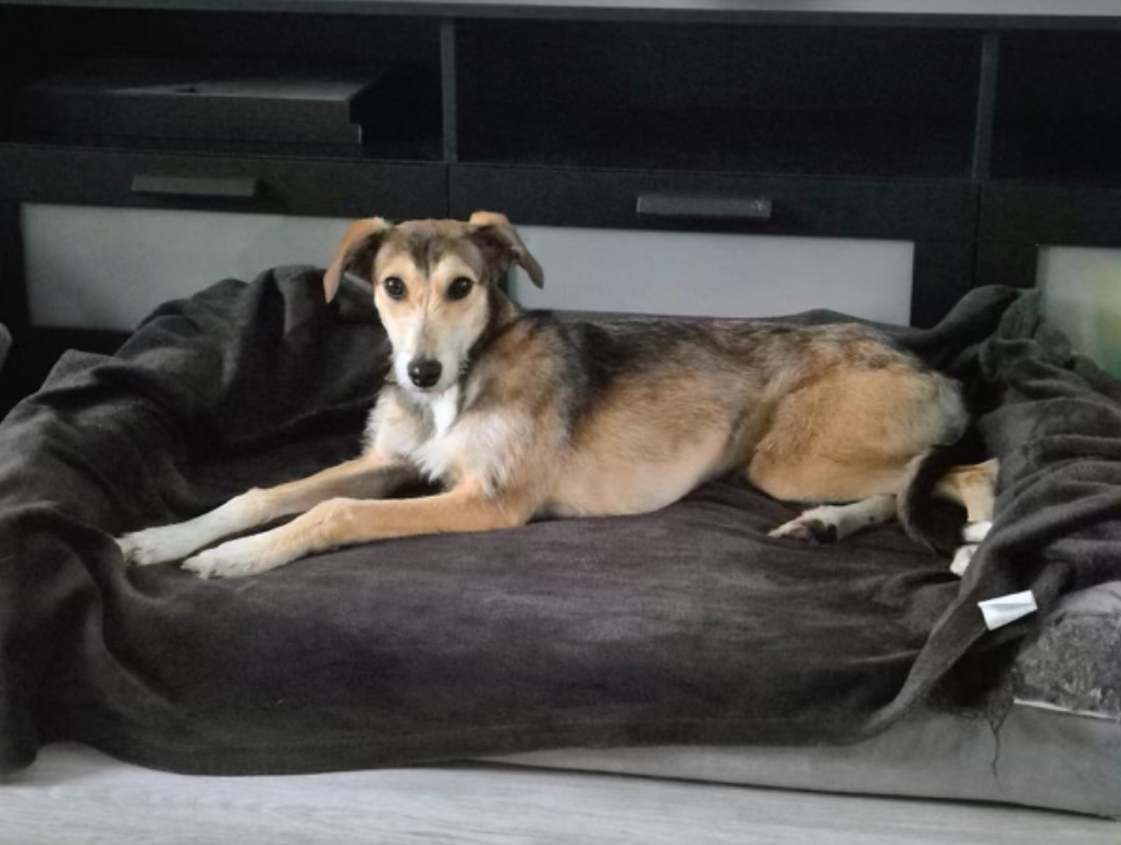 Screenshot 2026-01-24 at 16.40.02.png