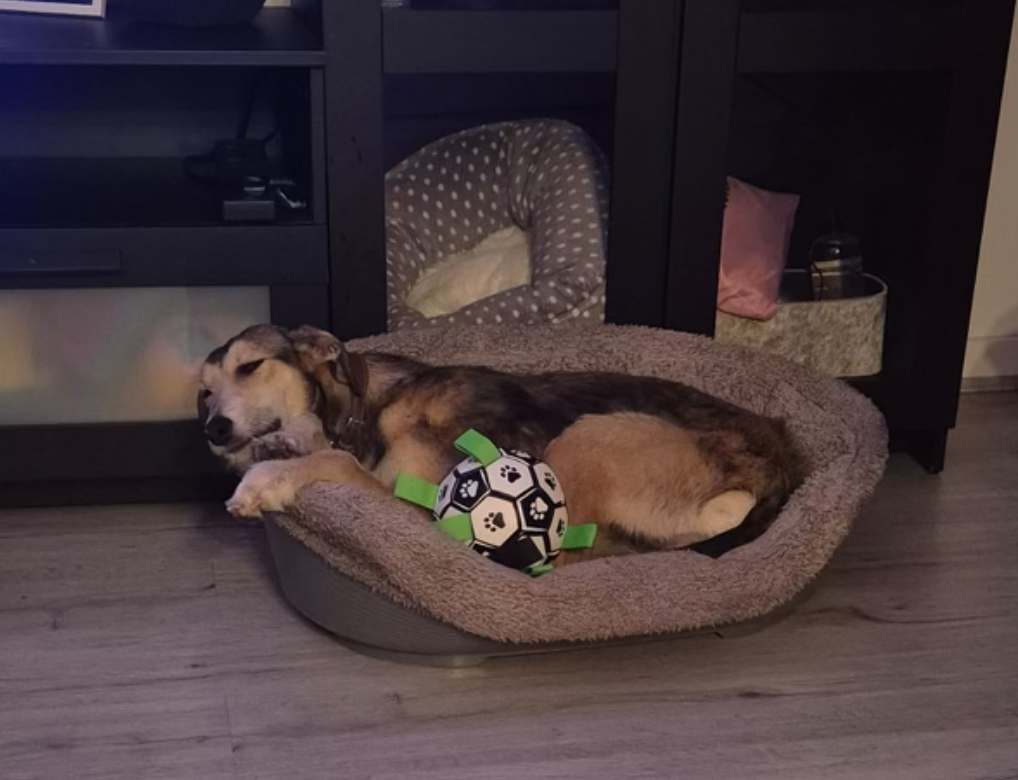 Screenshot 2026-01-24 at 16.39.53.png