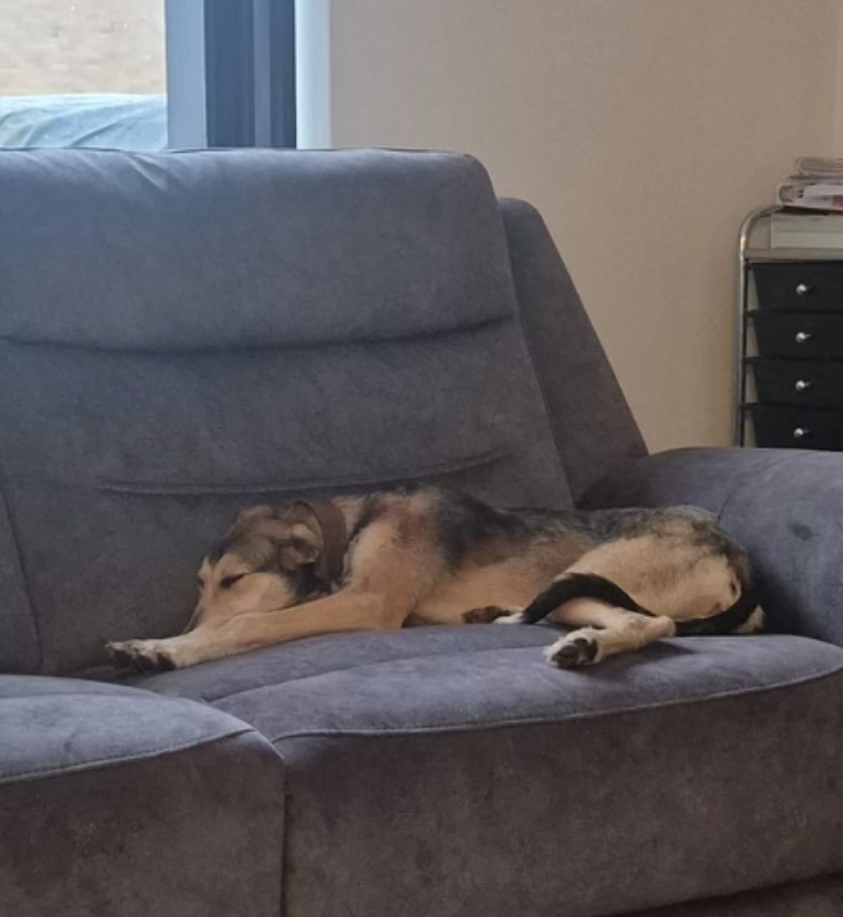 Screenshot 2026-01-24 at 16.39.45.png