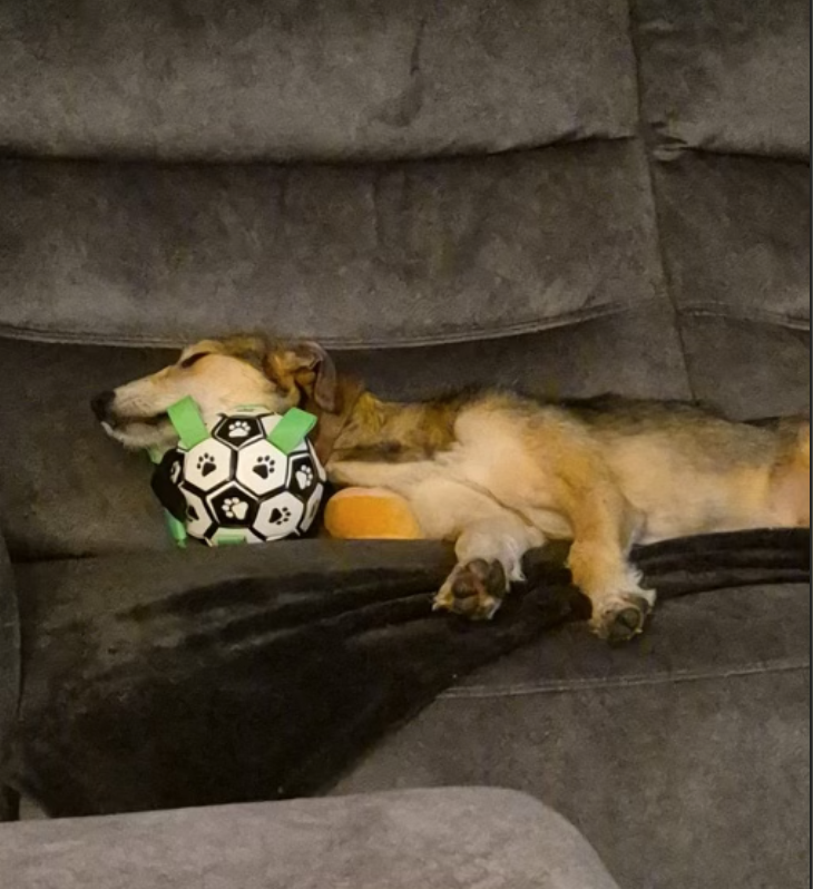 Screenshot 2026-01-24 at 16.39.33.png