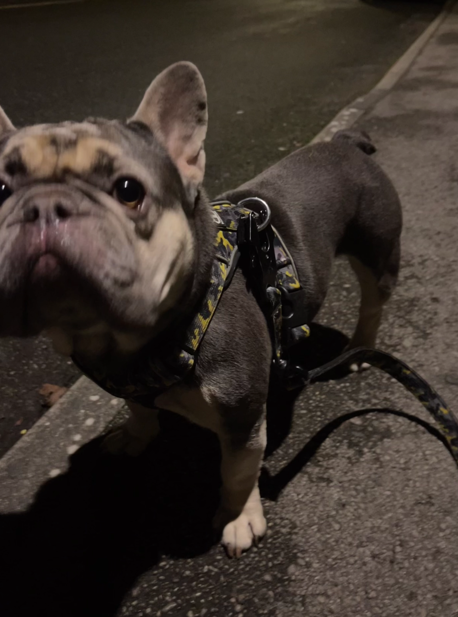 Screenshot 2026-01-25 at 12.49.33.png