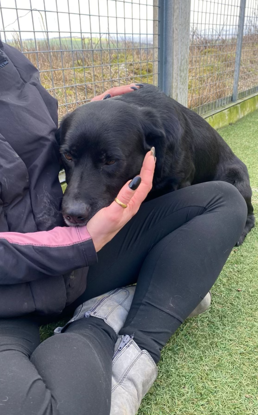 Screenshot 2026-04-01 at 20.48.16.png