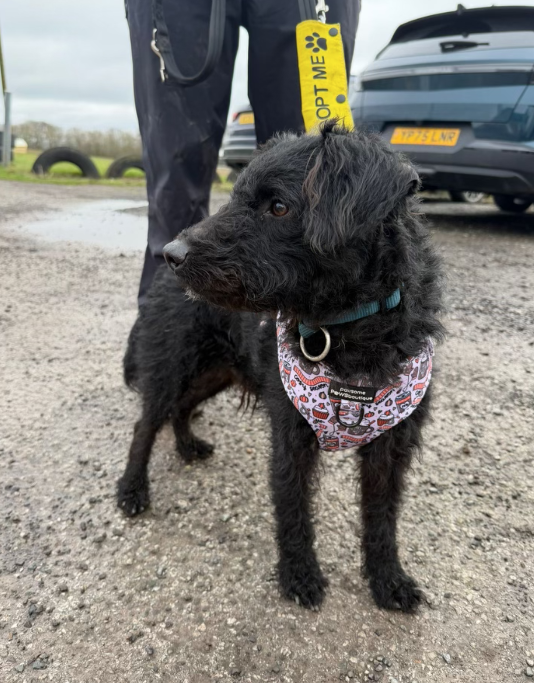 Screenshot 2026-04-01 at 20.48.30.png