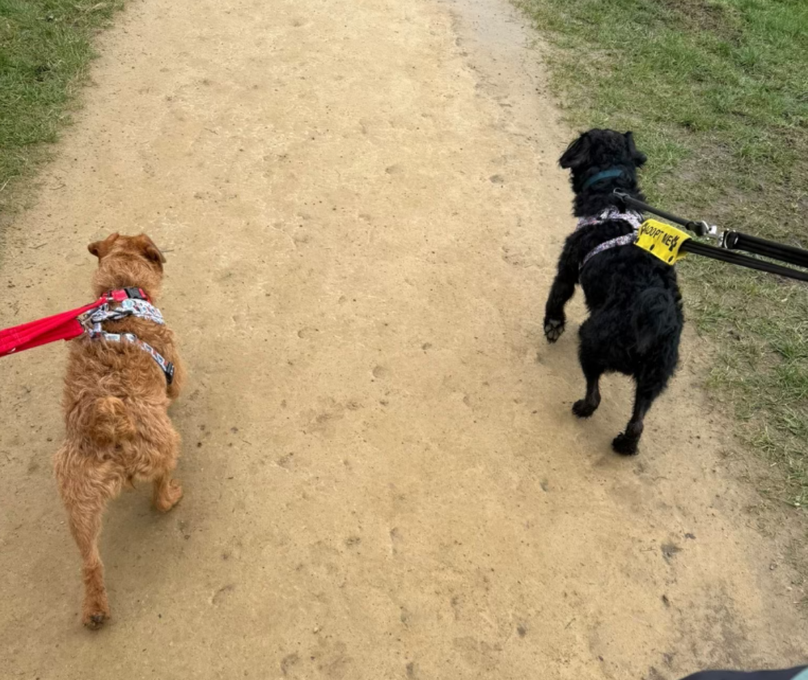 Screenshot 2026-04-01 at 20.48.23.png