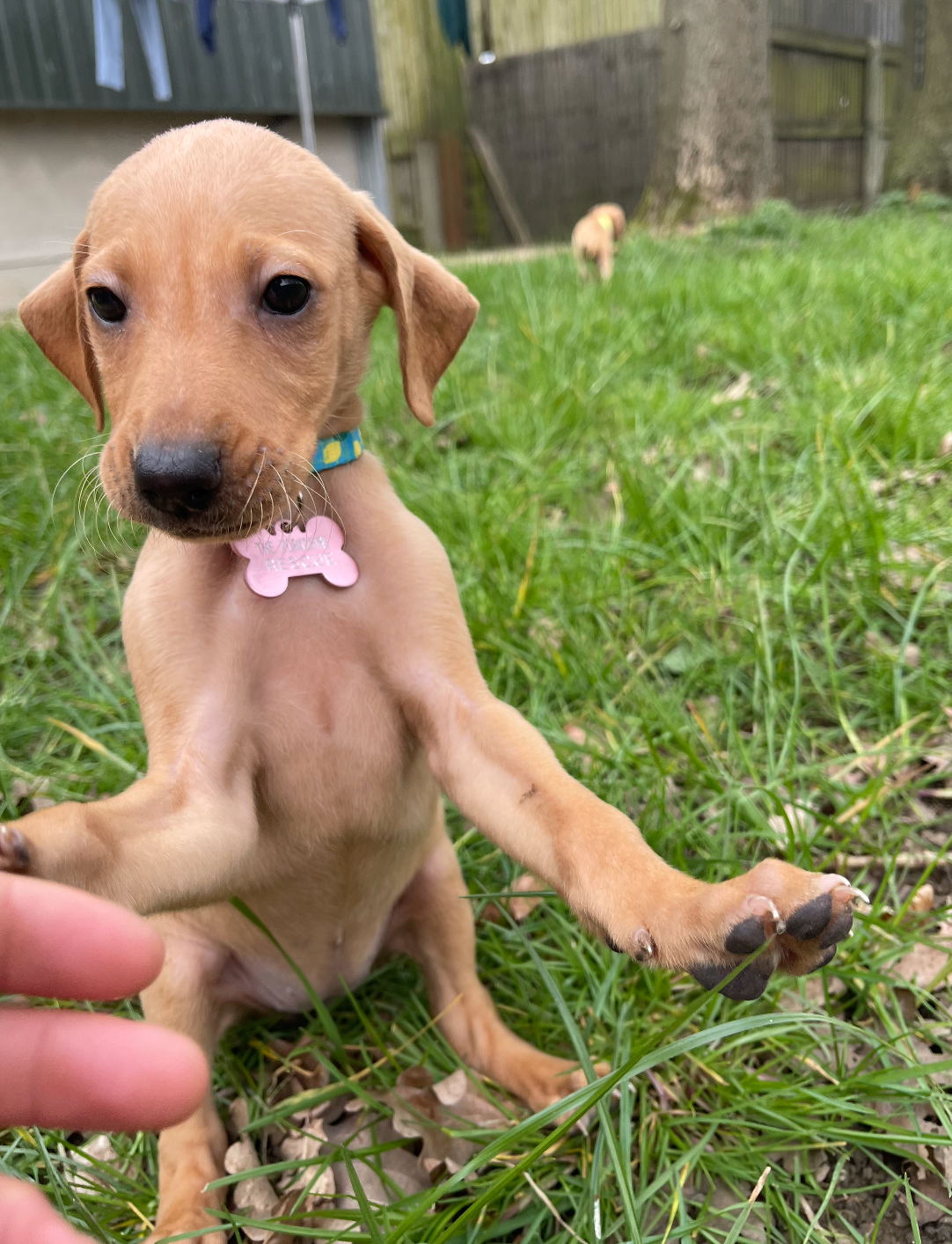 Screenshot 2026-04-01 at 21.10.25.png