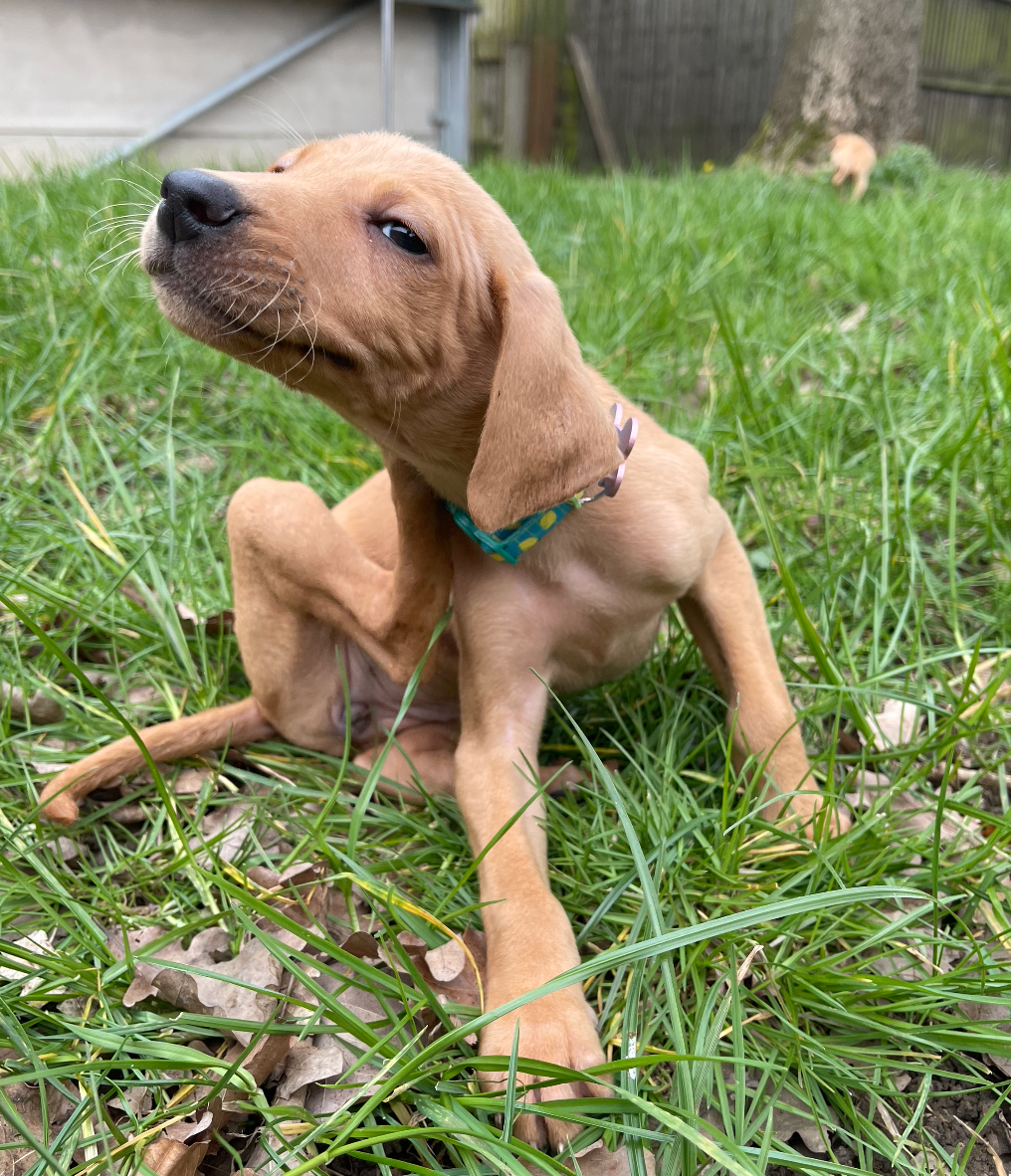 Screenshot 2026-04-01 at 21.10.20.png