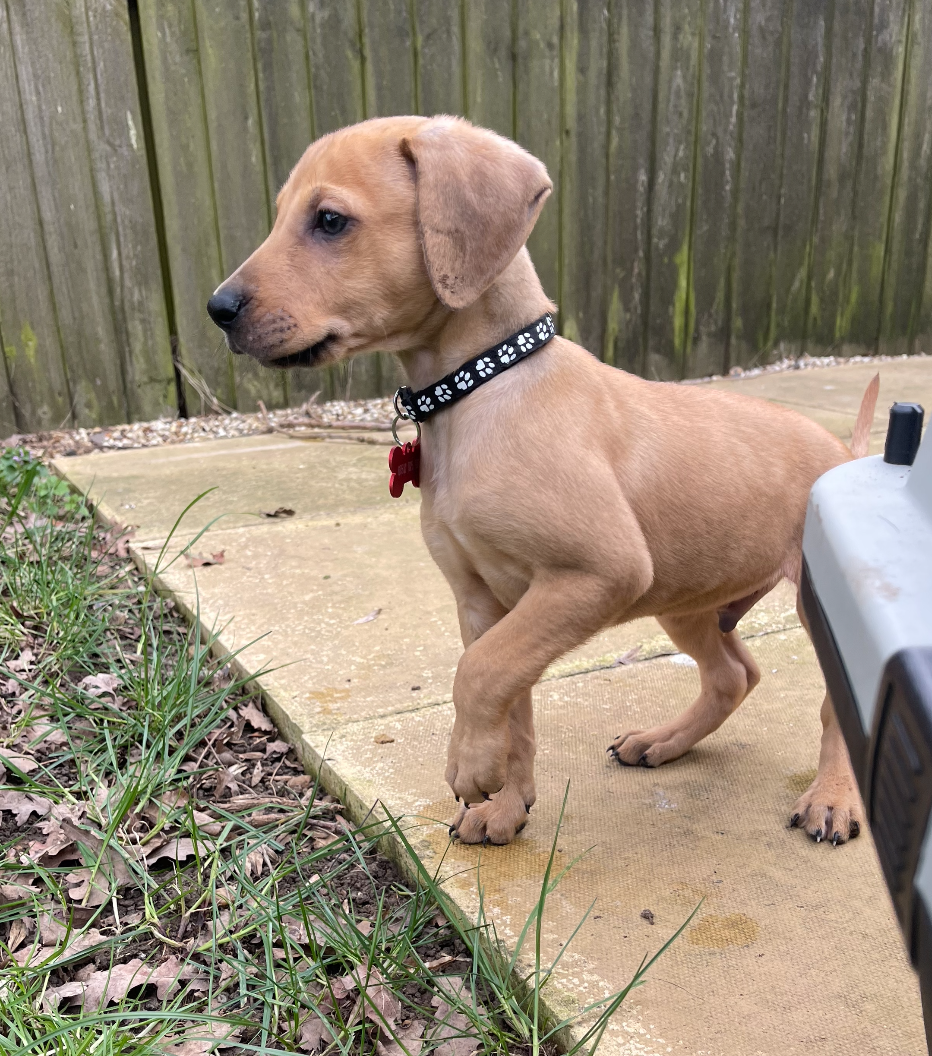 Screenshot 2026-04-01 at 21.10.15.png