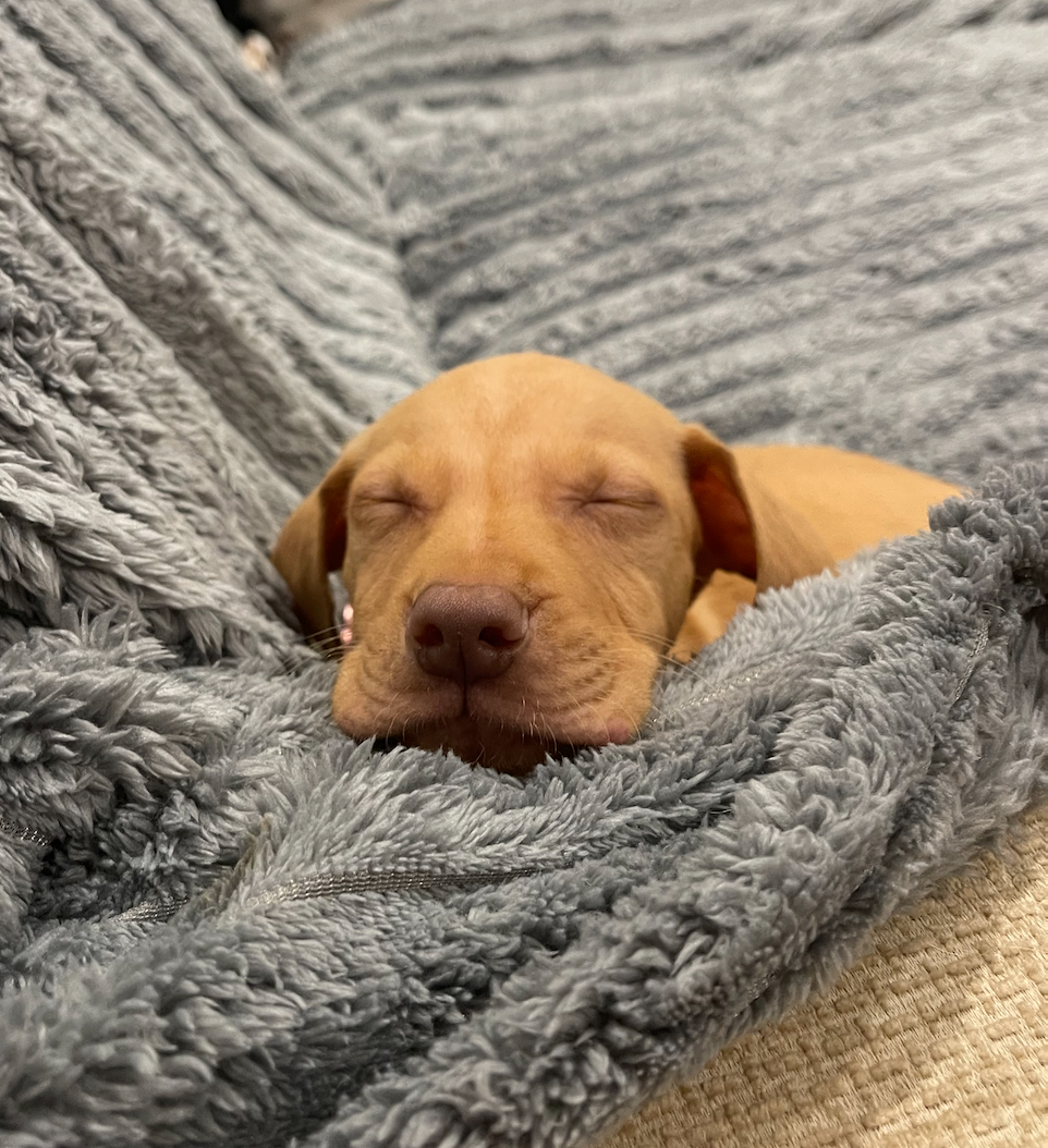 Screenshot 2026-04-01 at 21.10.06.png