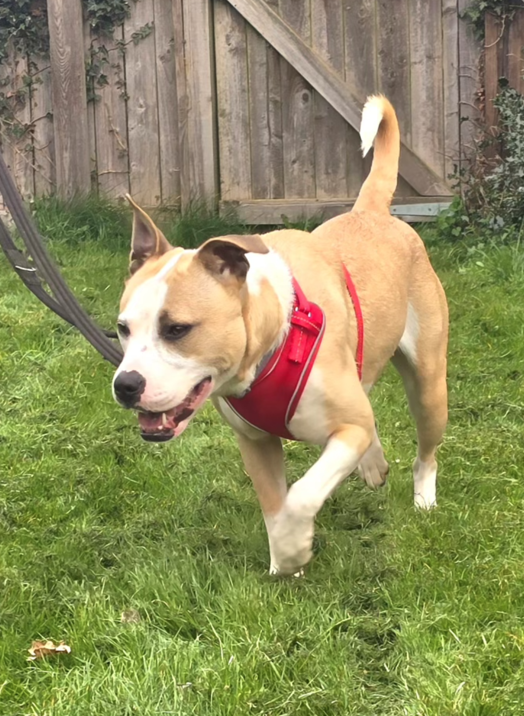 Screenshot 2026-04-01 at 20.49.41.png