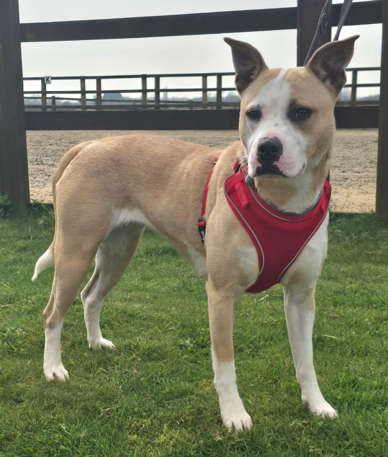 Screenshot 2026-04-01 at 20.49.48.png